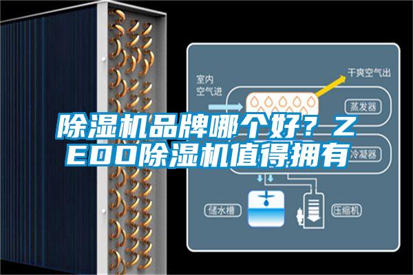 除濕機(jī)品牌哪個(gè)好？ZEDO除濕機(jī)值得擁有