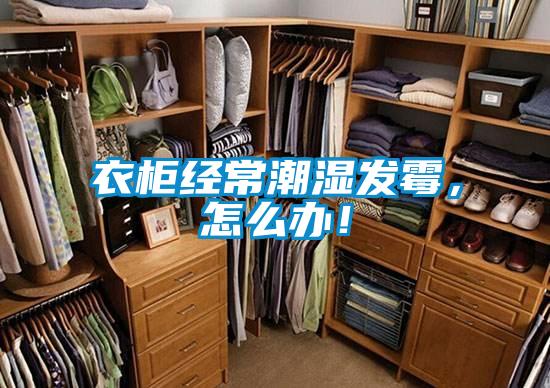 衣柜經(jīng)常潮濕發(fā)霉，怎么辦！