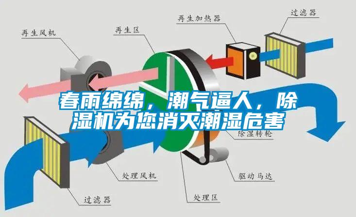 春雨綿綿，潮氣逼人，除濕機為您消滅潮濕危害