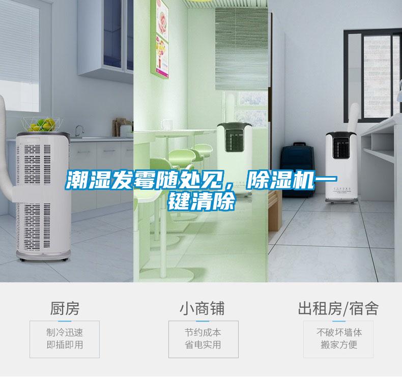 潮濕發(fā)霉隨處見，除濕機(jī)一鍵清除