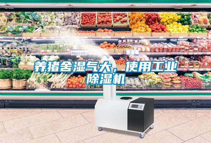 養(yǎng)豬舍濕氣大，使用工業(yè)除濕機(jī)