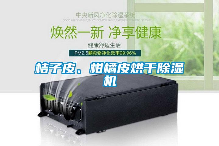 桔子皮、柑橘皮烘干除濕機(jī)