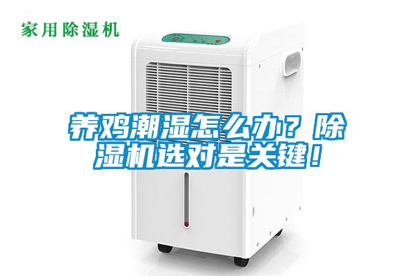 養(yǎng)雞潮濕怎么辦？除濕機(jī)選對是關(guān)鍵！