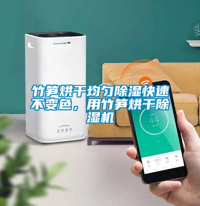 竹筍烘干均勻除濕快速不變色，用竹筍烘干除濕機(jī)
