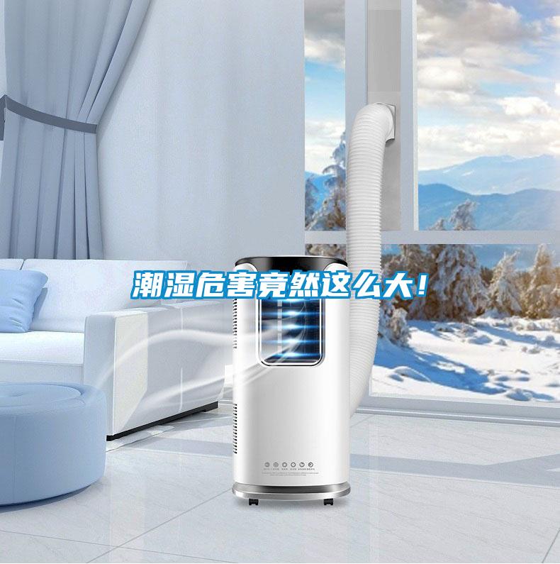 潮濕危害竟然這么大！