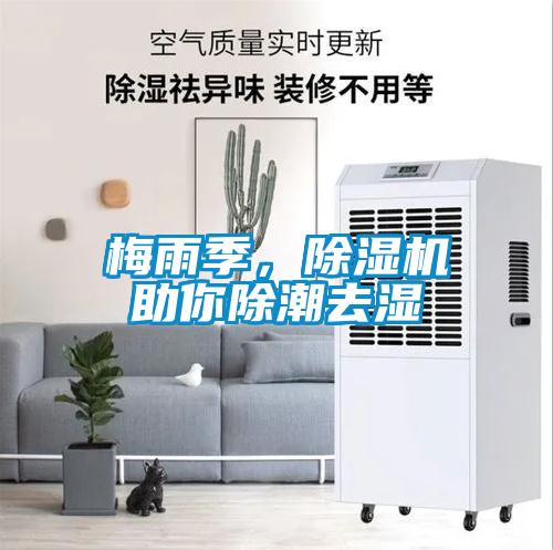 梅雨季，除濕機(jī)助你除潮去濕