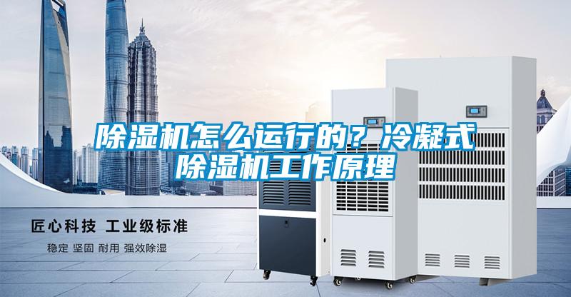 除濕機(jī)怎么運行的？冷凝式除濕機(jī)工作原理