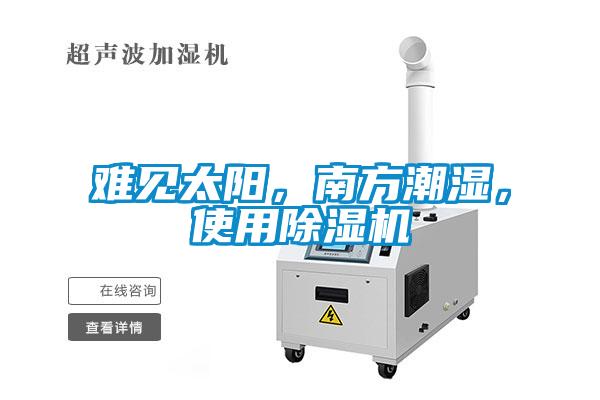 難見太陽，南方潮濕，使用除濕機(jī)