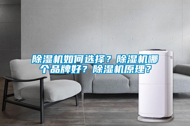 除濕機(jī)如何選擇？除濕機(jī)哪個(gè)品牌好？除濕機(jī)原理？