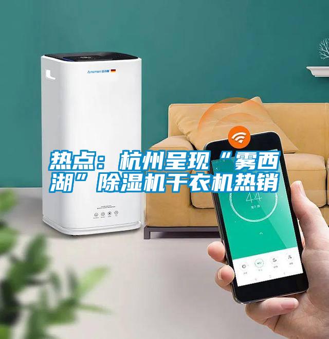 熱點(diǎn):杭州呈現(xiàn)“霧西湖”除濕機(jī)干衣機(jī)熱銷