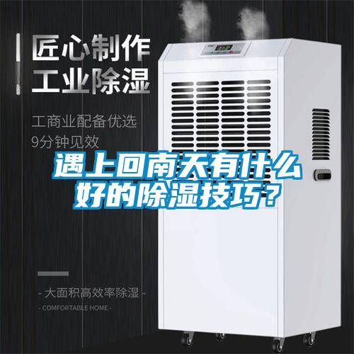 遇上回南天有什么好的除濕技巧？