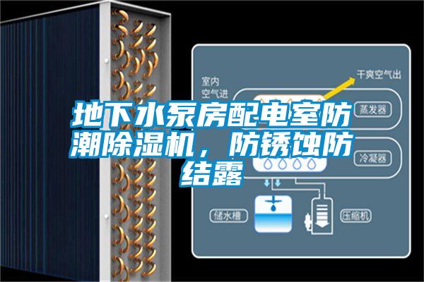 地下水泵房配電室防潮除濕機，防銹蝕防結露