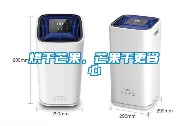 烘干芒果，芒果干更省心
