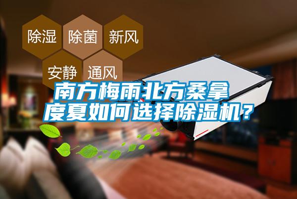 南方梅雨北方桑拿 度夏如何選擇除濕機？