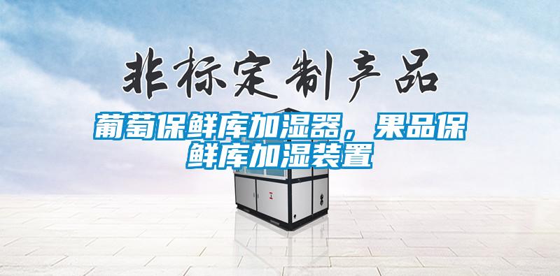 葡萄保鮮庫加濕器，果品保鮮庫加濕裝置