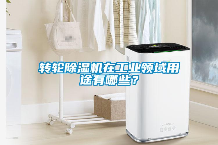 轉(zhuǎn)輪除濕機(jī)在工業(yè)領(lǐng)域用途有哪些？