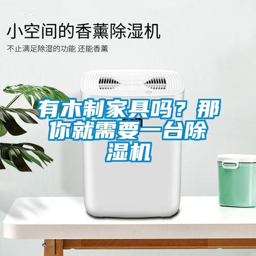 有木制家具嗎？那你就需要一臺(tái)除濕機(jī)