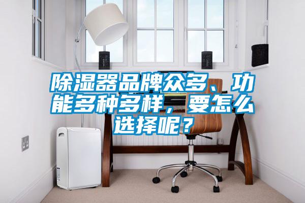 除濕器品牌眾多、功能多種多樣，要怎么選擇呢？
