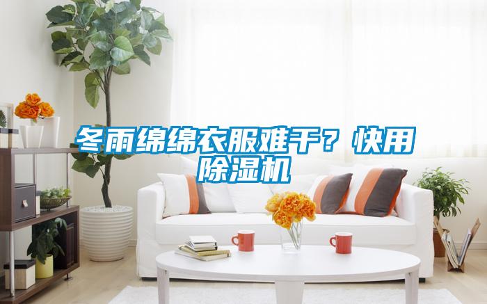 冬雨綿綿衣服難干？快用除濕機