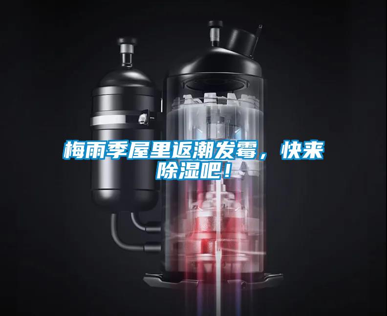 梅雨季屋里返潮發(fā)霉，快來除濕吧！