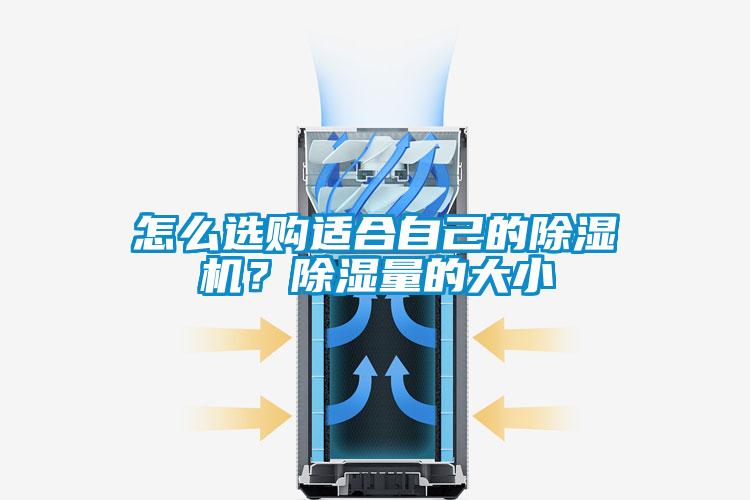 怎么選購適合自己的除濕機？除濕量的大小