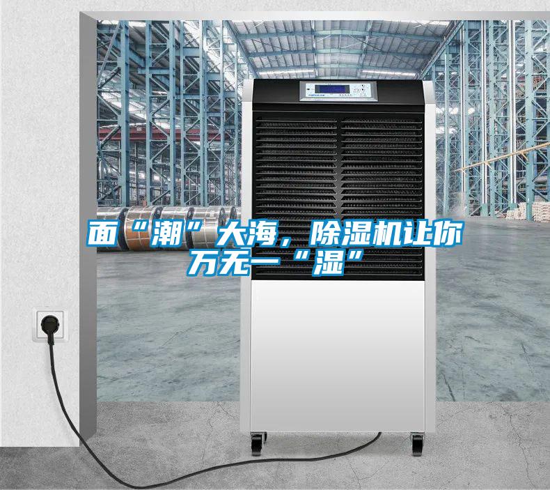 面“潮”大海，除濕機(jī)讓你萬無一“濕”
