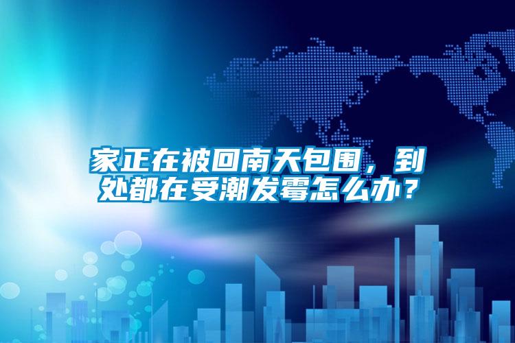 家正在被回南天包圍，到處都在受潮發(fā)霉怎么辦？