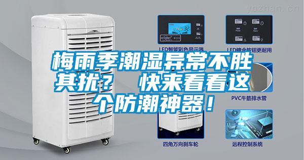梅雨季潮濕異常不勝其擾？ 快來看看這個防潮神器！