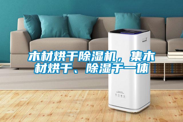 木材烘干除濕機(jī)，集木材烘干、除濕于一體