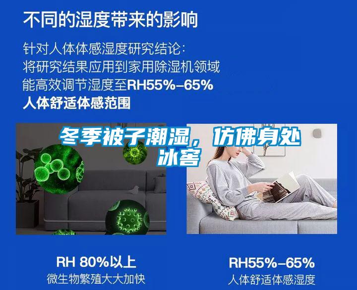 冬季被子潮濕，仿佛身處冰窖