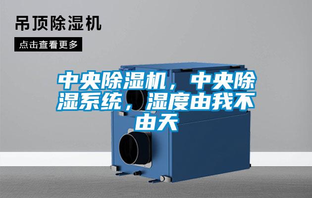 中央除濕機，中央除濕系統(tǒng)，濕度由我不由天