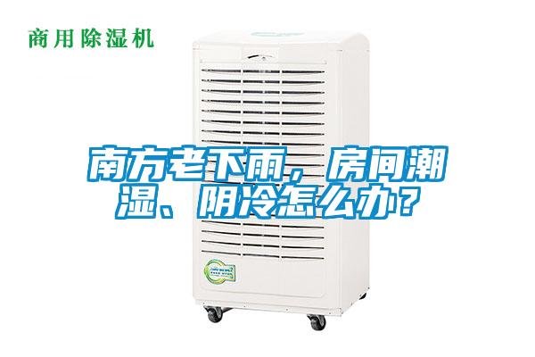 南方老下雨，房間潮濕、陰冷怎么辦？