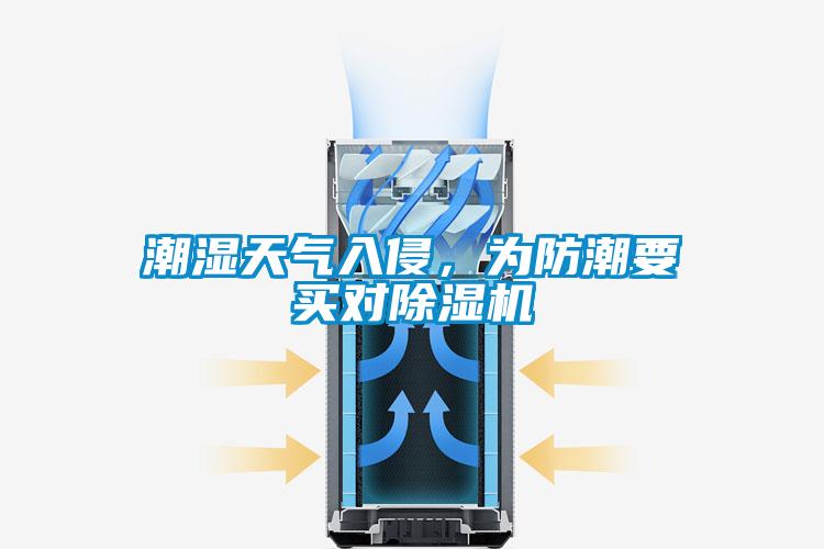 潮濕天氣入侵，為防潮要買對(duì)除濕機(jī)