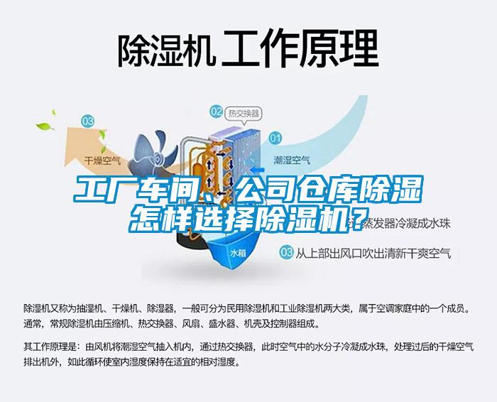 工廠車間、公司倉(cāng)庫(kù)除濕怎樣選擇除濕機(jī)？