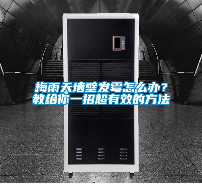 梅雨天墻壁發(fā)霉怎么辦？教給你一招超有效的方法