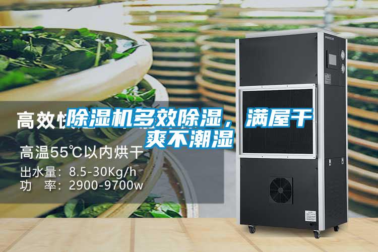 除濕機多效除濕，滿屋干爽不潮濕