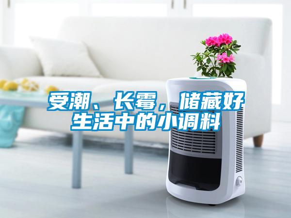 受潮、長霉，儲藏好生活中的小調(diào)料
