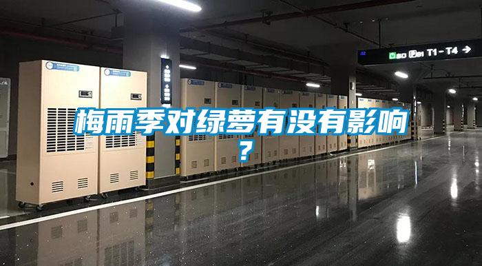 梅雨季對(duì)綠蘿有沒(méi)有影響？
