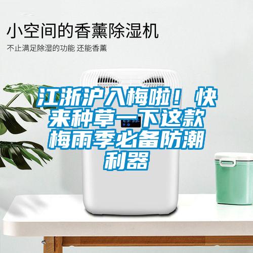 江浙滬入梅啦！快來(lái)種草一下這款梅雨季必備防潮利器