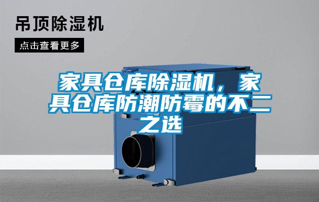 家具倉(cāng)庫(kù)除濕機(jī)，家具倉(cāng)庫(kù)防潮防霉的不二之選