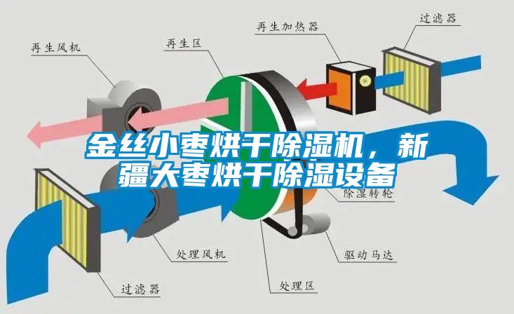 金絲小棗烘干除濕機，新疆大棗烘干除濕設(shè)備