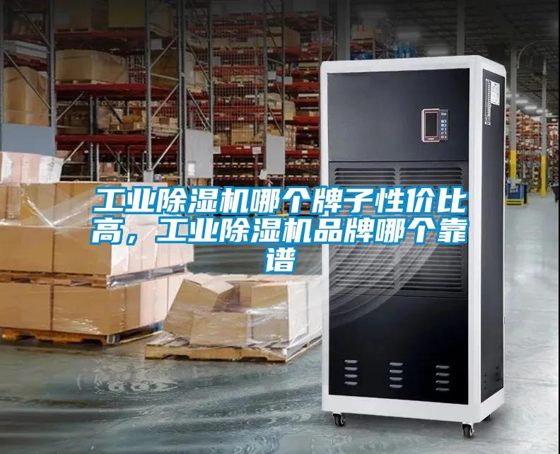 工業(yè)除濕機(jī)哪個(gè)牌子性價(jià)比高，工業(yè)除濕機(jī)品牌哪個(gè)靠譜