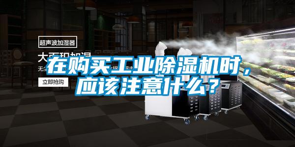 在購買工業(yè)除濕機時，應該注意什么？