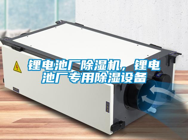 鋰電池廠除濕機(jī)，鋰電池廠專用除濕設(shè)備