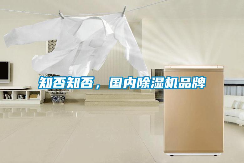 知否知否，國內(nèi)除濕機品牌