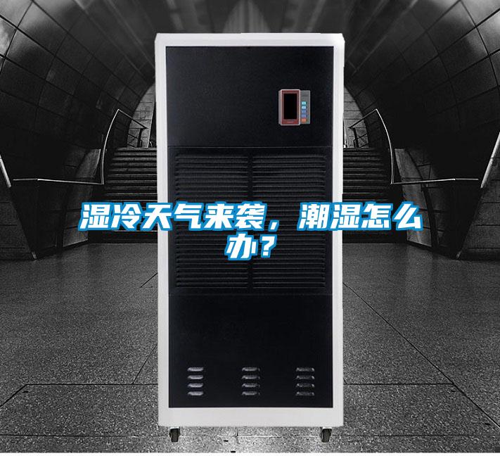 濕冷天氣來襲，潮濕怎么辦？