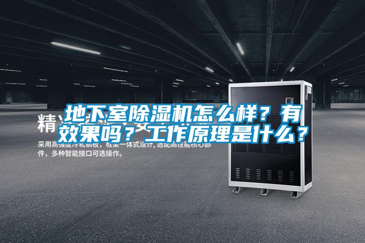 地下室除濕機(jī)怎么樣？有效果嗎？工作原理是什么？