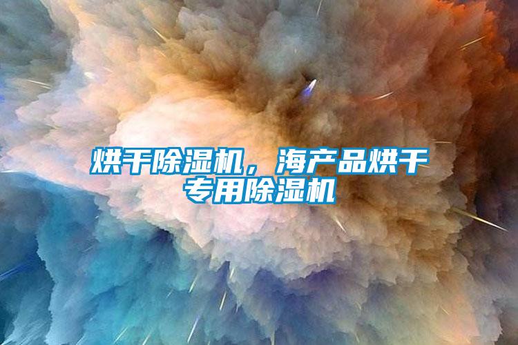 烘干除濕機(jī)，海產(chǎn)品烘干專用除濕機(jī)