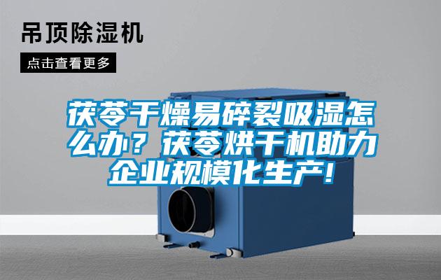 茯苓干燥易碎裂吸濕怎么辦？茯苓烘干機助力企業(yè)規(guī)?；a(chǎn)!