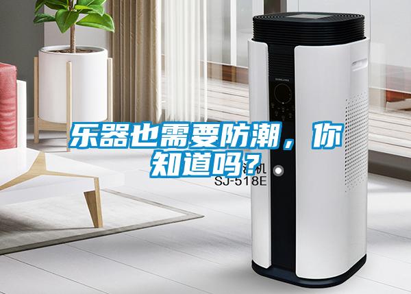 樂器也需要防潮，你知道嗎？